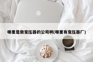哪里是做变压器的公司啊(哪里有变压器厂)