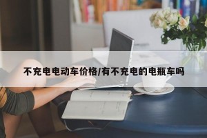 不充电电动车价格/有不充电的电瓶车吗