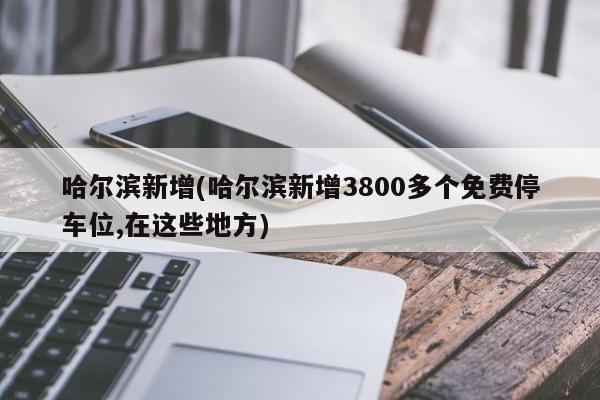 哈尔滨新增(哈尔滨新增3800多个免费停车位,在这些地方)