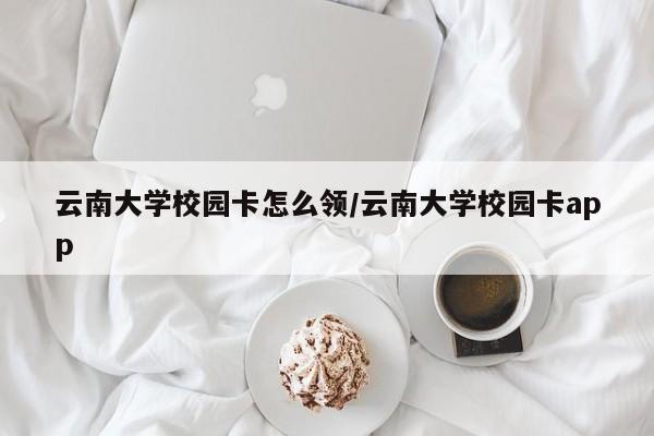 云南大学校园卡怎么领/云南大学校园卡app