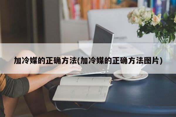 加冷媒的正确方法(加冷媒的正确方法图片)